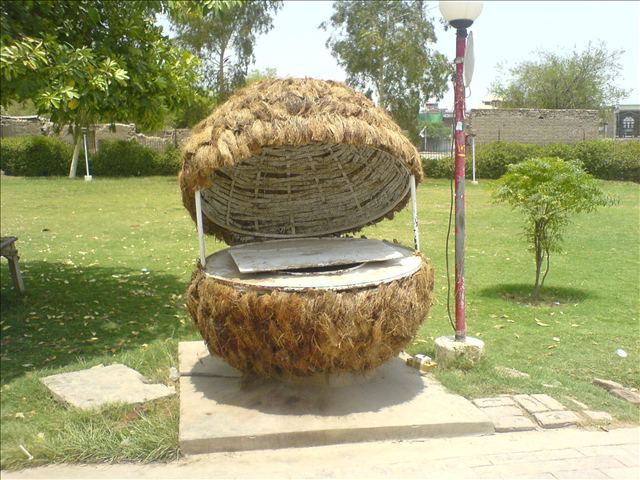 Plot photo